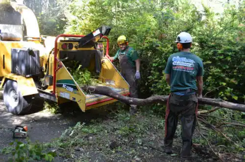 tree services Thunderbolt